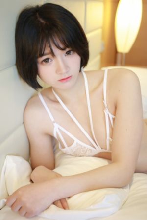 密使演员表_蓝光手机在线看